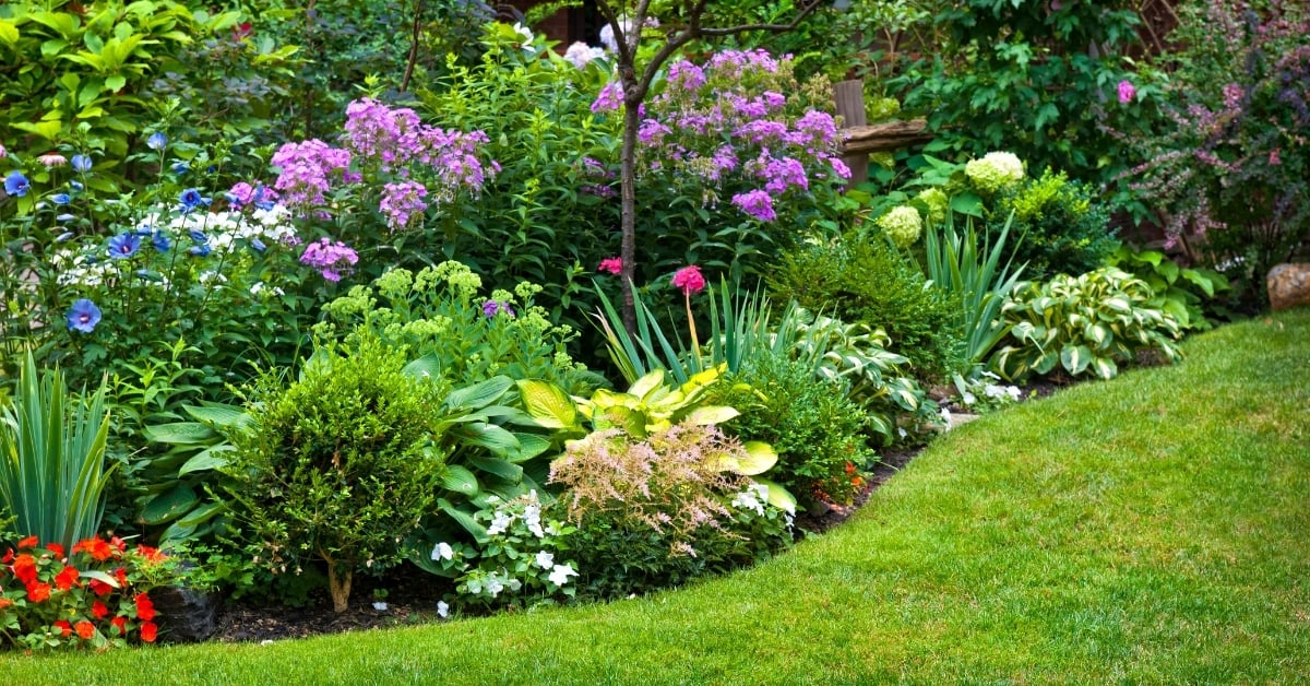 Don’t Wait for Spring Before Getting Into the Garden